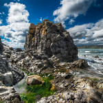 The Jagged Coast - (Wellington, New Zealand).jpg