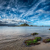 Island Bay - (Wellington, New Zealand)