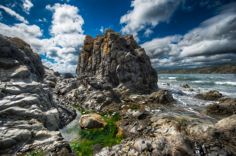 The Jagged Coast - (Wellington, New Zealand)