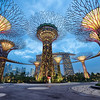 At night, the Supertress come alive with a dazzling display of light in Singapore.