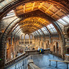 The Overlook - (London, England)