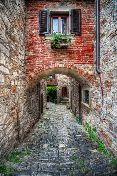 A Textured Path (HDR Tuscany, Italy)